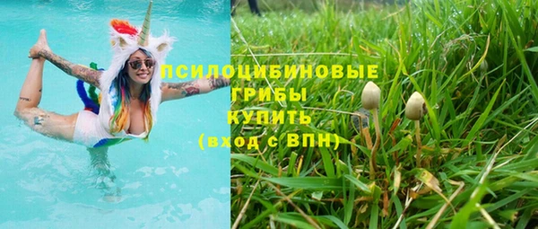 ALPHA PVP Богородск