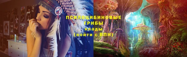 спайс Богородицк