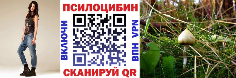 купить закладку Семилуки darknet формула Псилоцибиновые грибы ЛСД